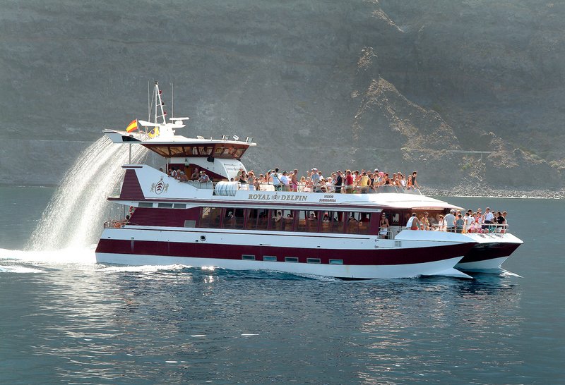 dolphin-4.jpg
