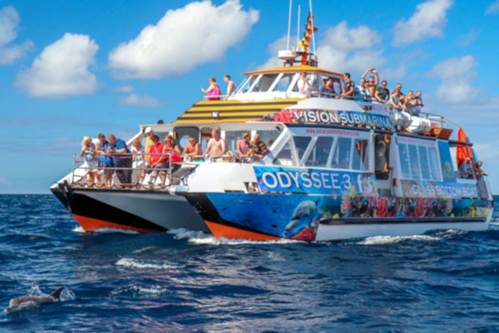 dolphin-5.jpg