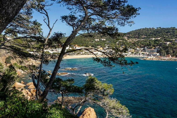 glassbottommallorca-2.jpg